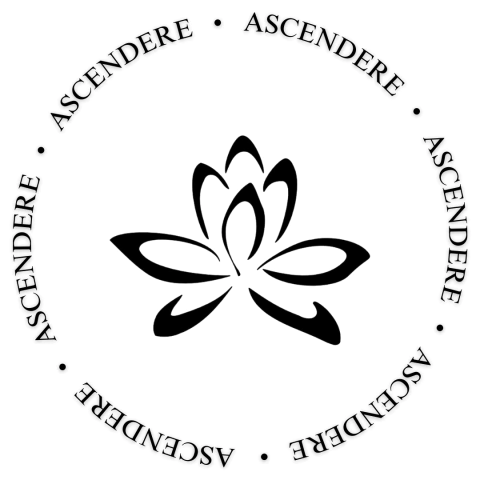 Ascendere Store