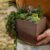 Mini jardín en Prisma - tienda online