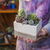 Mini jardín en Prisma en internet