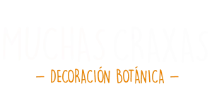 Muchas Craxas