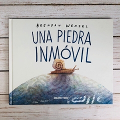 UNA PIEDRA INMÓVIL