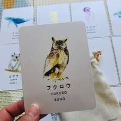 Flash cards FAUNA versión Japonés