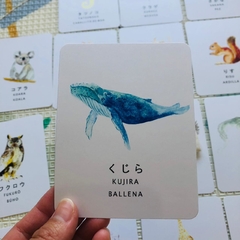 Flash cards FAUNA versión Japonés - comprar online