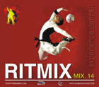 Ritmix 14