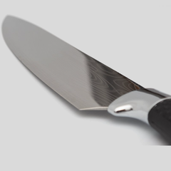 Juego cuchillos Gourmet en internet