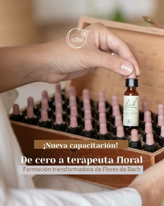 Curso de Terapeuta Floral - Nivel 1