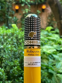 Cohiba - Robusto en tubo x15 - Tabaqueria Inglesa