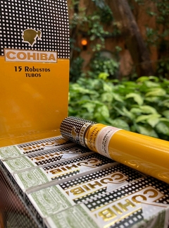 Cohiba - Robusto en tubo x15