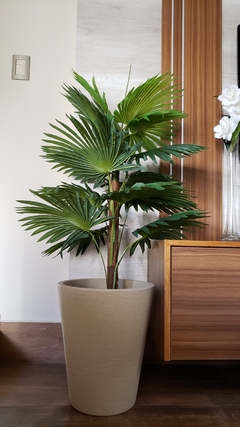 Palmetto 1.35