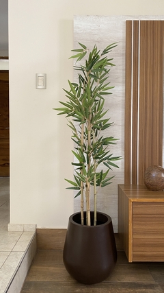 Cañas de bamboo 1.60m - comprar online