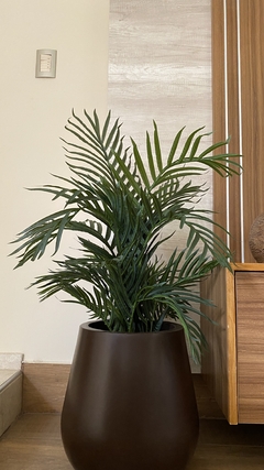 Palmera 90cm