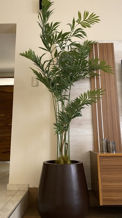 Palmera 1.80m