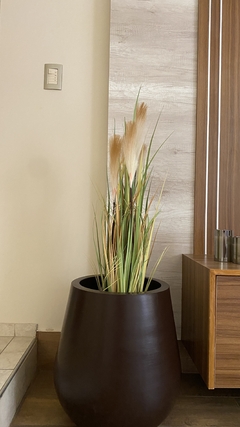 Planta totora 90cm - comprar online