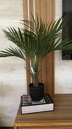 Palmera - 64cm - comprar online