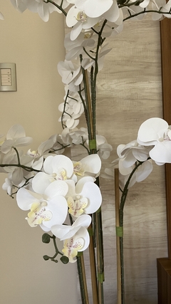 Planta de orquidea - 1.20m - comprar online