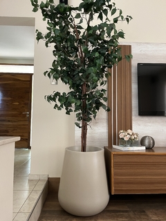 Combo árbol ficus 2.10m + maceta montecarlo 60cm