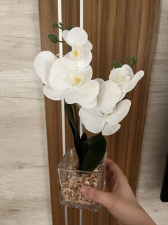 Orquideas con maceta de vidrio