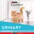 Excellent gato urinary x15kg - comprar online
