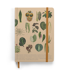 Caderno Sketchbook Botânica