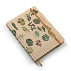 Caderno Sketchbook Botânica na internet