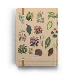 Caderno Sketchbook Botânica - comprar online