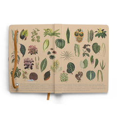Caderno Sketchbook Botânica - Contemplo Papelaria®