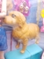 Muneca 30cm perro mascota nacimiento Cachorros - tienda online