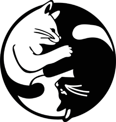 GATO YIN YANG - comprar online