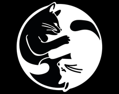 GATO YIN YANG en internet