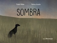 SOMBRA - ACOSTA, MATIAS, MOLLER, PABLO.