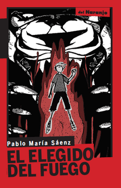 ELEGIDO DEL FUEGO EL - SAENZ PABLO MARIA