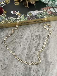 Collar 697