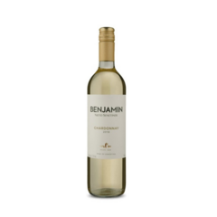 Vinho Argentino Benjamin Nieto Chardonnay Branco Gfa 750 Ml