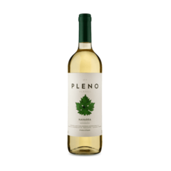 Vinho Espanhol Pleno D.O. Navarra Blanco Gfa 750 Ml