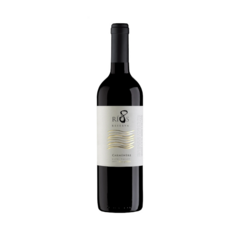 Vinho Chileno Reserva 8 Rios Carmenere Tto 750 Ml