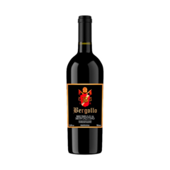 Vinho Italiano Brunello De Montalcino Bergollo 750Ml