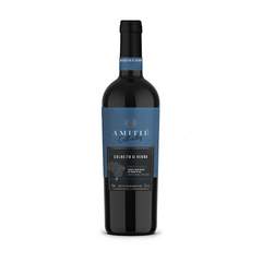 VINHO BRASILEIRO AMITIE COLHEITA DE VERÃO CABERNET FRANC TTO 750ML