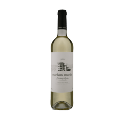 Vinho Espanhol Esteban D.O.P. Carinena Chardonnay brc 750 Ml