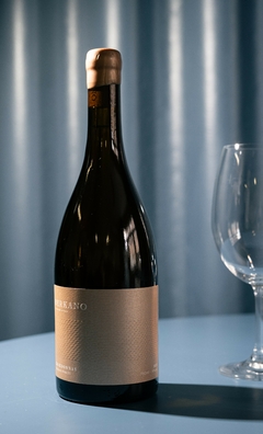 Berkano Chardonnay 2023 - comprar online