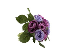 Rosetones violeta