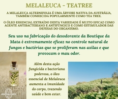 Desodorante Spray 100% Natural Melaleuca 150ml - Boutique da Mata