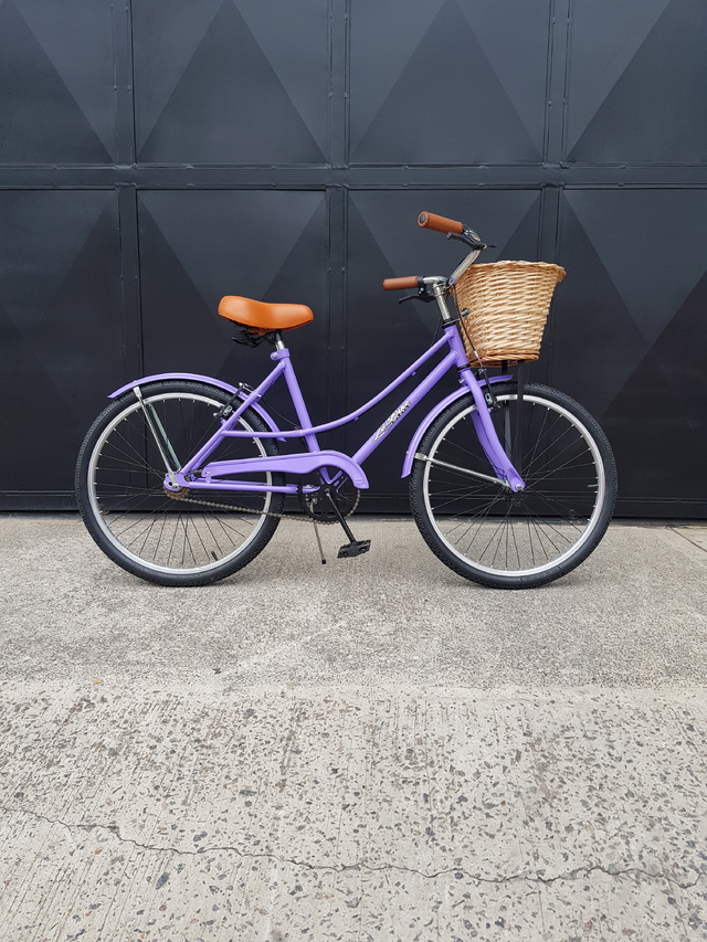 Bicicleta vintage rodado online 24