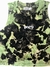 Cropped Regata Confort Army - Canelada  - Tie Dye - UNISSEX na internet