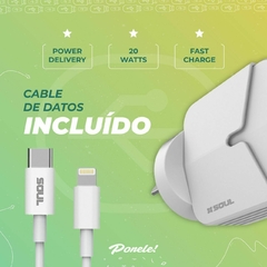 Cargador USB-PD Fast Charge IPHONE en internet