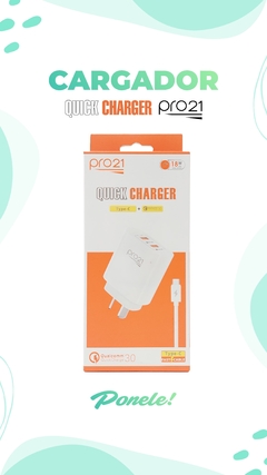 CARGADO. TYPE C PRO 21 QUICK CHARGER