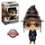 FUNKO POP HARRY POTTER 21 SPECIAL EDITION