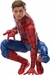 FIGURA SPIDER-MAN MARVEL LEGENDS TOM HOLAND HASBRO F6509 SPIDER-MAN NO WAY HOME HOMEM ARANHA SEM VOLTA PRA CASA - loja online