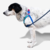 Peitoral para cachorros antipuxão Cooly - comprar online