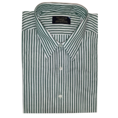 Camisa Cuello Inglés Puño Simple Regular Fit