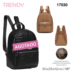 CARTERA 17030